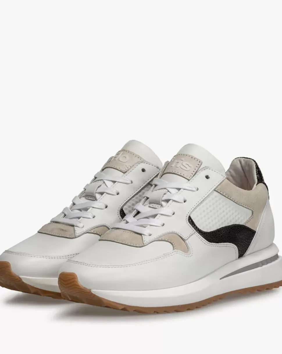 Sumi 03.22